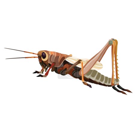 The image is a digital illustration of a grasshopper. The grasshopper is shown in profile, with its characteristic long hind legs curled and ready to leap, short antennae, and a segmented body including the head, thorax, and abdomen. The colors of th