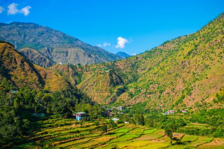 Landschaftlich reizvoller Blick auf das terrassenförmige Reisfeld und die bewaldeten Himalaya-Berge, Bundesstaat Himachal Pradesh in Indien