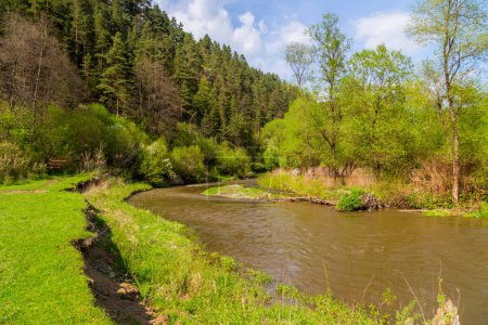 Foto de Río Hornad cerca de Tomasovsky en el valle de Hornad en el Parque Nacional Slovak Paradise, Eslovaquia - Imagen libre de derechos
