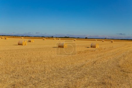 Photo for View of a crop field in the north of Spain - Royalty Free Image