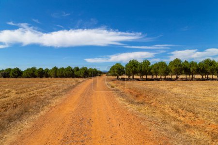 Téléchargez les photos : Rural road in the Spanish countryside among agricultural fields, after wheat harvest season. Navarra, Spain - en image libre de droit