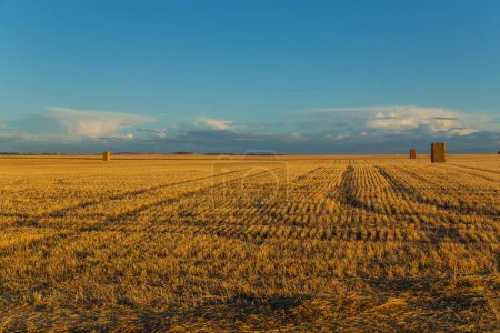 Photo for View of a crop field in the north of Spain - Royalty Free Image