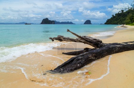 Téléchargez les photos : Paradise beach à Koh ngai île, Trang, Thaïlande - en image libre de droit