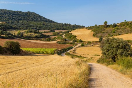Foto de Rural road in the Spanish countryside among agricultural fields, after wheat harvest season. Navarra, Spain - Imagen libre de derechos