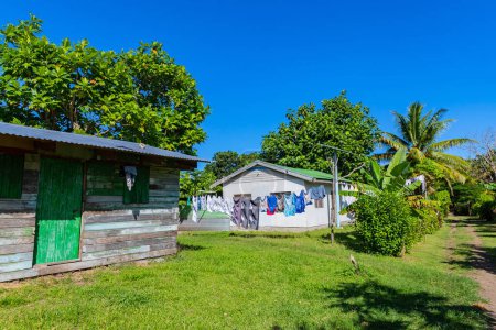 Téléchargez les photos : Chemin dans un petit village de l'île de Viti Levu, Fidji - en image libre de droit