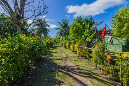 Téléchargez les photos : Chemin dans un petit village de l'île de Viti Levu, Fidji - en image libre de droit