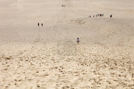Téléchargez les photos : Visiter la célèbre dune de Pyla, la plus haute dune d'Europe, à Pyla Sur Mer, France
. - en image libre de droit