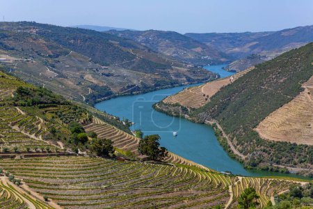 Foto de Landscape view of the beautiful douro river valley near Pinhao in Portugal - Imagen libre de derechos