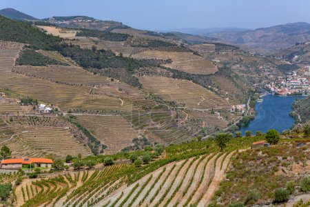 Foto de Landscape view of the beautiful douro river valley near Pinhao in Portugal - Imagen libre de derechos
