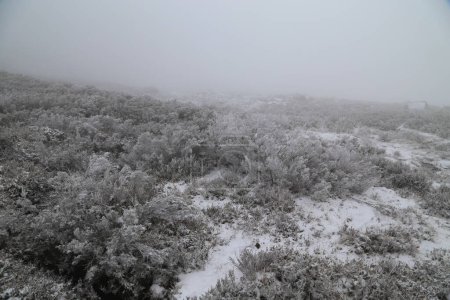 Téléchargez les photos : Paysage hivernal avec neige dans les montagnes du parc naturel de Serra do Geres, Portugal - en image libre de droit