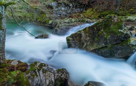 Foto de Cascada en el parque nacional portugués - Imagen libre de derechos