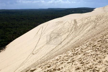 La célèbre dune de Pyla, la plus haute dune d'Europe, à Pyla Sur Mer, France
.