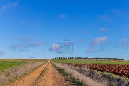 Photo for Andalucia, Camino De Santiago, the Way of St. James pilgrimage route, Extremadura, Spain. - Royalty Free Image