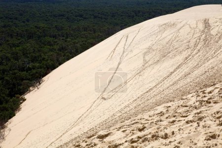 Foto de La famosa duna de Pyla, la más alta de Europa, en Pyla Sur Mer, Francia
. - Imagen libre de derechos