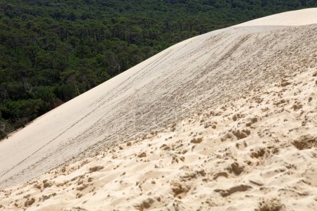 Foto de La famosa duna de Pyla, la más alta de Europa, en Pyla Sur Mer, Francia
. - Imagen libre de derechos