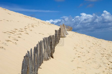 Téléchargez les photos : La célèbre dune de Pyla, la plus haute dune d'Europe, à Pyla Sur Mer, France
. - en image libre de droit