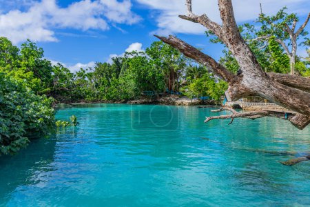 Foto de The Blue Lagoon, un popular hoyo de natación turquesa cerca de Port Vila, Efate Island, Vanuatu, Melanesia - Imagen libre de derechos