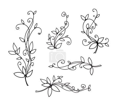 Foto de Colección de dibujo de línea de hierbas decorativas. Concepto flora belleza. Elegante bio símbolo vector ilustración - Imagen libre de derechos