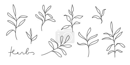 Foto de Colección de arte de línea de hierbas. Abstracto hojas línea continua dibujo conjunto. Ilustración de vector elegante botánico - Imagen libre de derechos