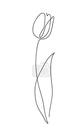Foto de Hermosa flor de tulipán. Diseño de concepto de arte de línea. Dibujo continuo de línea. Símbolo de flor estilizada. Ilustración vectorial - Imagen libre de derechos