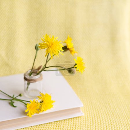 Foto de Yellow flower in a white book on a yellow knitted background - Imagen libre de derechos