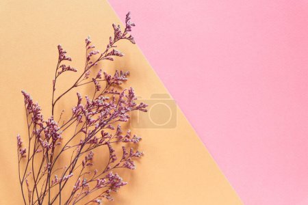 Hermoso arreglo floral. Flores lila, espacio libre para texto sobre un fondo pastel claro. Vista superior, espacio de copia