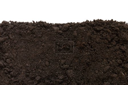 Téléchargez les photos : Texture du sol isolé. Jour de la Terre - 22 avril - en image libre de droit