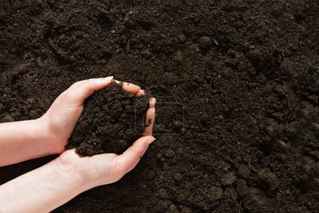 Symbol earth day. Handful of earth in hand. Farmer hands soil ground earth dirt garden soil farm ground. Fertile land field agriculture concept