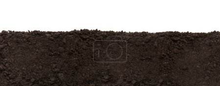 Photo for Soil patch texture isolated. Earth Day - April 22 - Royalty Free Image