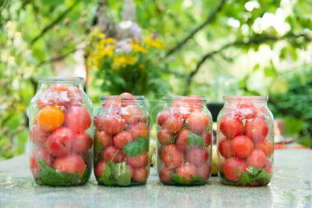 Vier Gläser mit Dosengemüse, Tomaten, Kräutern, Gewürzen. Heimatschutz für den Winter. Gesunde Ernährung, Bloggen