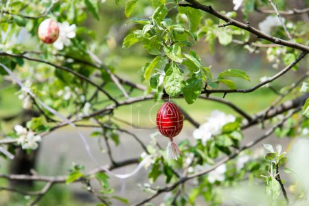 ?uf de Pâques décoratif suspendu aux branches de l'arbre à l'extérieur