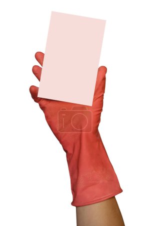 Téléchargez les photos : Main dans les gants rouges tenant vide rose certificat maquette. Isolé sur fond blanc. Carte cadeau vierge pour l'annonce de service de nettoyage. - en image libre de droit