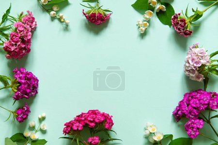 Téléchargez les photos : Fleurs oeillets roses et jasmin sur un fond bleu uni vide - en image libre de droit
