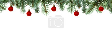 Téléchargez les photos : Branches d'arbre de Noël avec boules rouges, isolées sur fond blanc, bordure - en image libre de droit