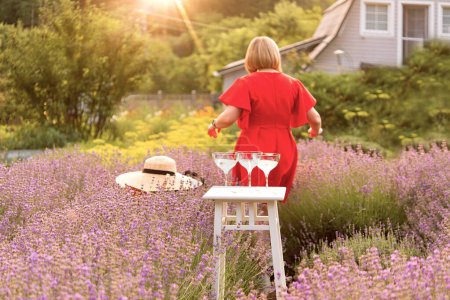 Téléchargez les photos : Beautiful garden with lavender. Aesthetic table with glasses of champagne. Woman walking in flowers bloom in summer in garden under the sunlight - en image libre de droit