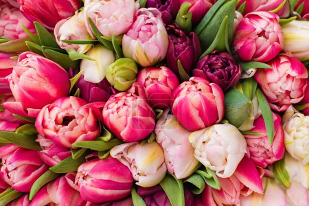 Téléchargez les photos : Background from beautiful bouquet of colorful tulips - en image libre de droit
