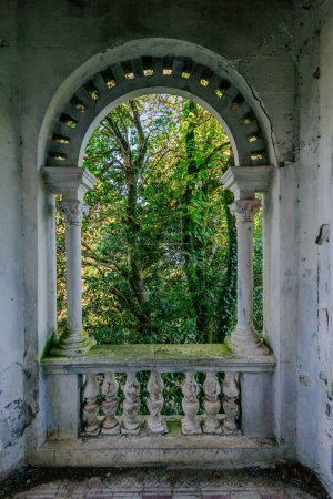 Old overgrown arched balcony in old abandoned mansion
