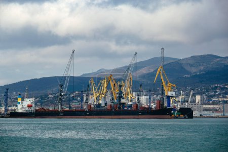 Photo for Commercial port terminal with cargo cranes in Novorossiysk. - Royalty Free Image