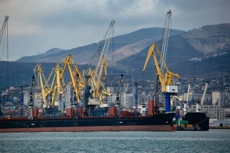 Photo for Commercial port terminal with cargo cranes in Novorossiysk. - Royalty Free Image