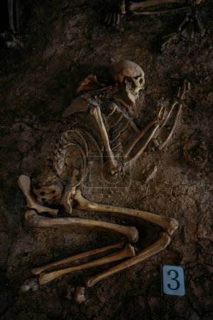 Antiguo esqueleto humano en la tumba antigua en la excavación arqueológica.