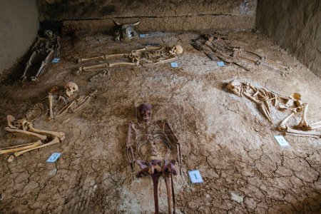 Alte menschliche Skelette in altem Grab bei archäologischen Ausgrabungen.