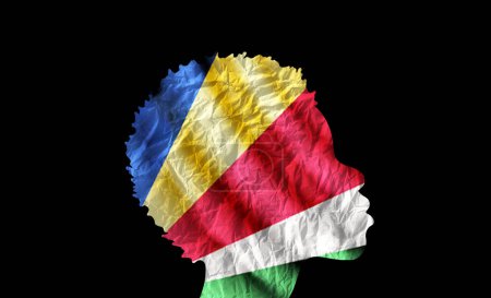Téléchargez les photos : Silhouette femme africaine avec drapeau national des Seychelles. - en image libre de droit