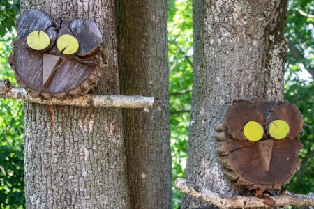 Téléchargez les photos : Hibou en bois fabriqué à la main à partir de morceaux de bois, placé à la succursale dans le parc public - en image libre de droit