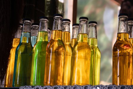 Téléchargez les photos : Cognac aromatique fait maison et très sain (Rakija serbe) avec différentes herbes à l'intérieur de la bouteille, cadeau décoratif parfait - en image libre de droit
