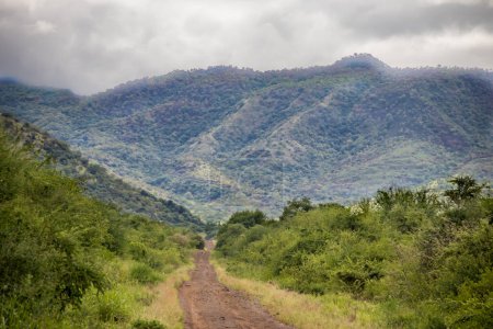 Una vista impresionante del valle de Omo en Etiopía muestra un vasto y exuberante paisaje. Un sinuoso camino de tierra serpentea a través del valle, atrayendo la atención a colinas y montañas distantes, agregando profundidad y tranquilidad al entorno sereno.