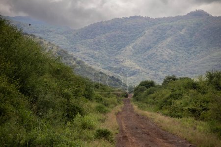 Ein atemberaubender Blick auf das Omo-Tal in Äthiopien zeigt eine riesige, üppige Landschaft. Eine kurvenreiche Schotterstraße schlängelt sich durch das Tal und lenkt den Blick auf weit entfernte Hügel und Berge und verleiht der ruhigen Umgebung Tiefe und Ruhe.