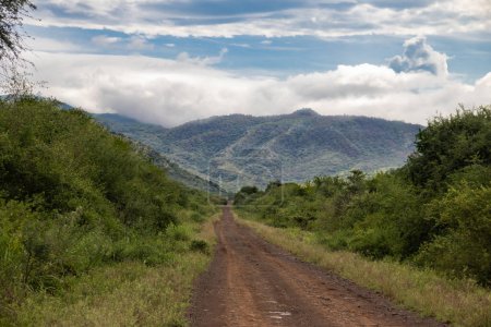 Una vista impresionante del valle de Omo en Etiopía muestra un vasto y exuberante paisaje. Un sinuoso camino de tierra serpentea a través del valle, atrayendo la atención a colinas y montañas distantes, agregando profundidad y tranquilidad al entorno sereno.