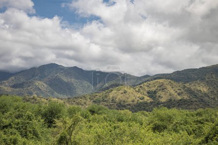 Une vue imprenable sur la vallée d'Omo en Éthiopie met en valeur un vaste paysage luxuriant. Un chemin sinueux serpente à travers la vallée, attirant l'attention sur des collines et des montagnes lointaines, ajoutant profondeur et tranquillité au cadre serein