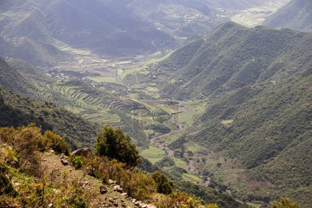Foto de Amba Alaji en Etiopía cuenta con un impresionante paisaje con majestuosas montañas, espectaculares acantilados y exuberante vegetación, que ofrece impresionantes vistas y un escape sereno a la belleza natural. Pico de montaña tiene una elevación de 3,420 metros (11,220 pies) - Imagen libre de derechos