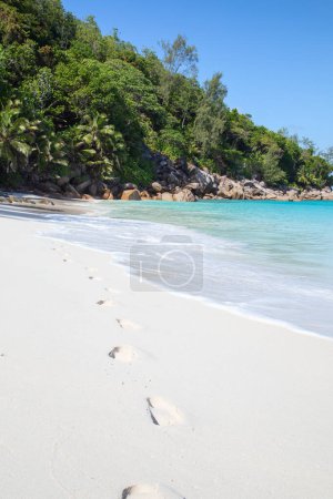 Photo for Famous Anse Georgette beach on the Praslin island, Seychelles - Royalty Free Image